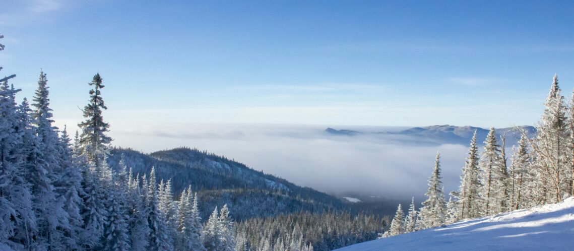 Paysage hivernal des Monts-Valin avec forêt enneigée et vue panoramique sur les montagnes du Saguenay–Lac-Saint-Jean.
